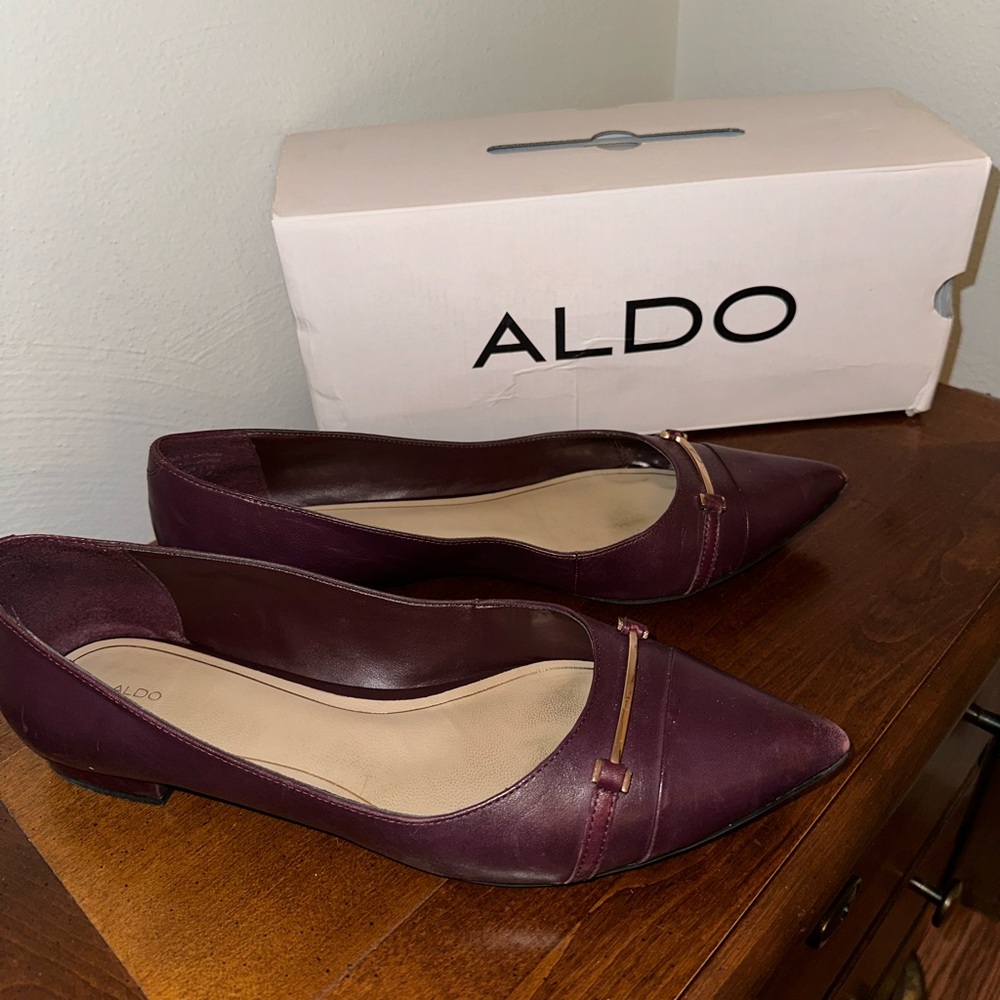 Aldo Pointed Toe Flats